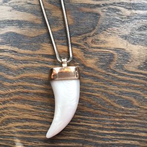 Cute long shark tooth necklace